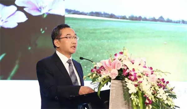 �����׃��������(chu��ng)������δ����2017�Ї����������Ϻ����_