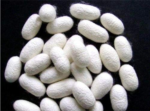 ͬ���ǽz�����W�_���{ʲô���f�������R�ˣ�