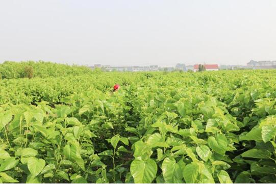 �X�ʽz�I�@��2017�Ї��Ҽ��Ӽ��\��Ʒ�ƪ�(ji��ng)�����I(y��)��(n��i)������ϵ�y(t��ng)�x���ЌmԷ�Q�z��