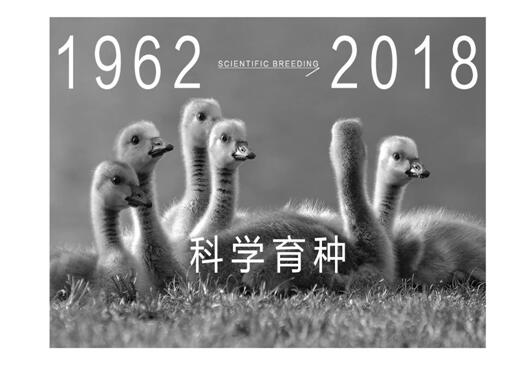 ����Ҽ����m�����q���¾��p��������