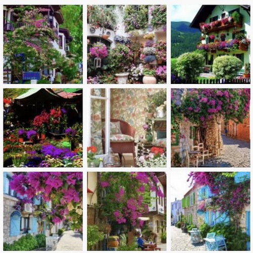 С�[�T��������D(zhu��n)����Ȧ�����c(di��n)Ҫ�󲻿�����������ƽ