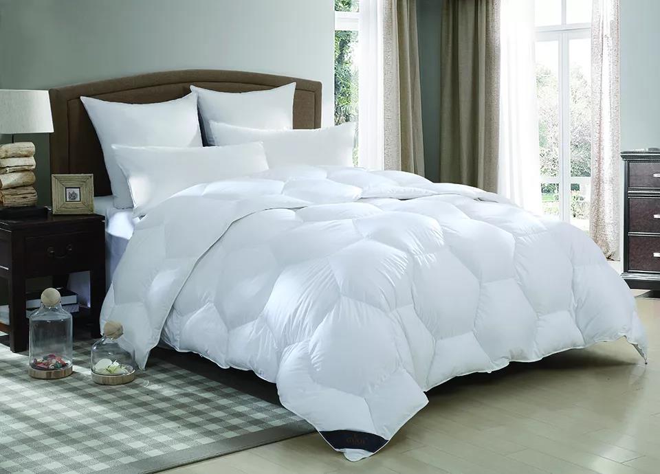 ����Ʒ�Z�q������(bi��o)��(zh��n)���_(t��i)���쿴�����I�ı����_(d��)��(bi��o)�˛]��