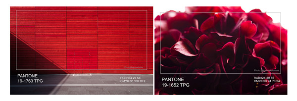 �Ї�����ɫ�f���l(f��)�������Ҿ�����ɫ������ɫ������t