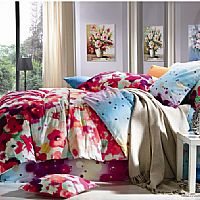 ���A����(m��ng)