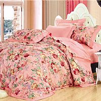 ���_��˹֮��x