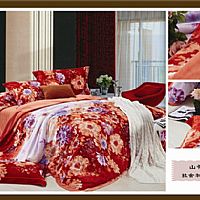 ɽ������