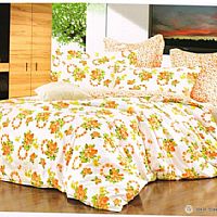 С�~���㣨С����