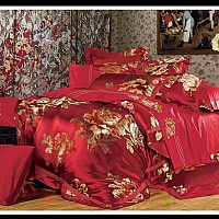 ��(gu��)ɫ����