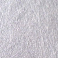 ����(x��)����