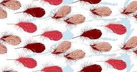 �L(zh��ng)�d������