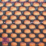 �����ξW(w��ng)�۲�