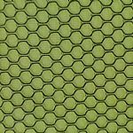 �����ξW(w��ng)��