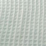 ɫ������