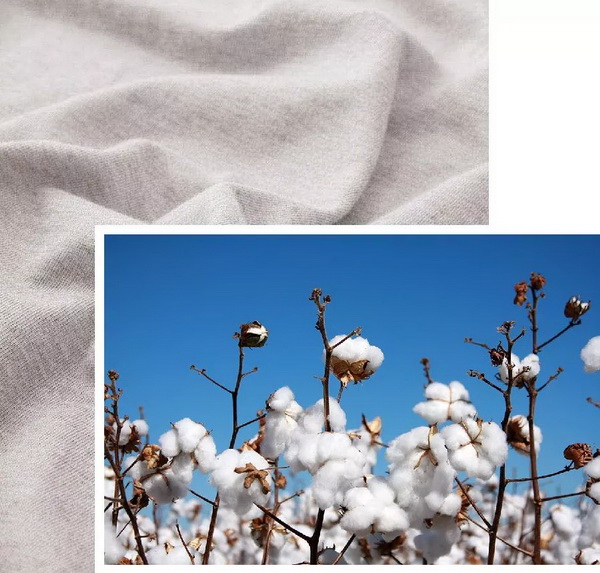 COMOLIVING�Ƴ��~������˯���������ߵ�����ęn