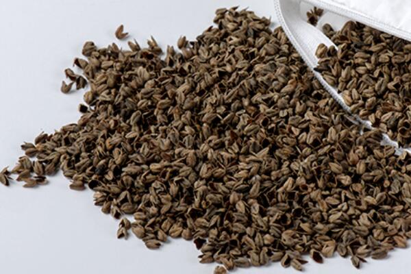 ��������Ȼ���������ѻ��Ҽ��ĸ�ɽ���w������s�ߴ����﷦����