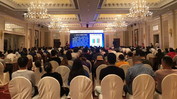 朽��Ӯa�I(y��)��ͨ��(chu��ng)��rֵ--�ֽ���2019�Ї���������朴�����Ї��Ҽ��Ҿӄ�(chu��ng)�������C��ʢ��¡���e�k