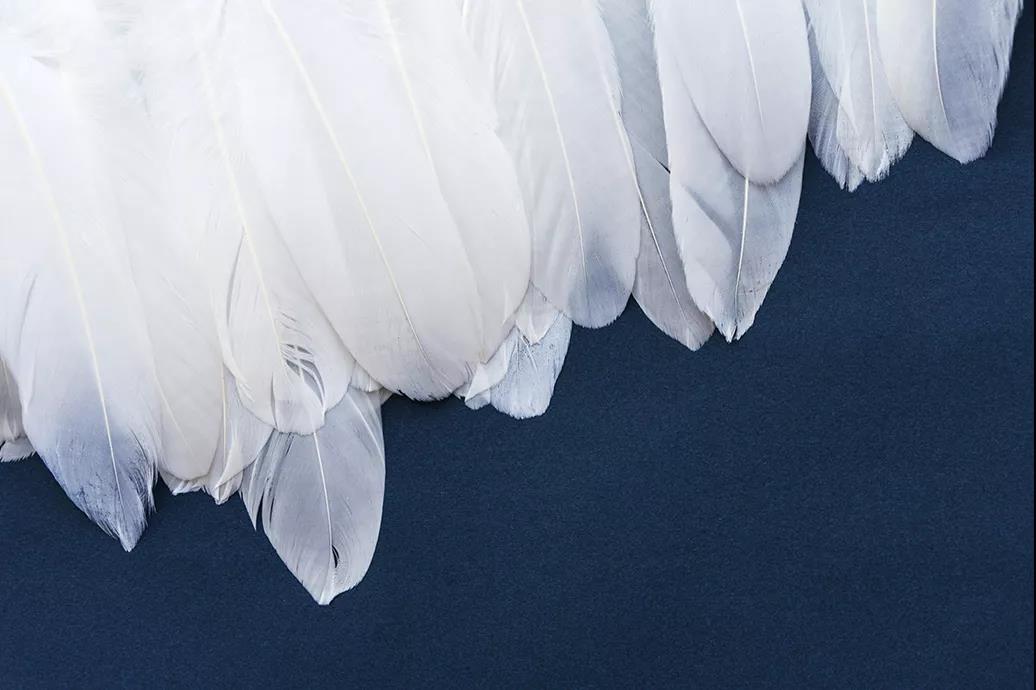 ����Ʒ�Z�q�����˜ʳ��_���쿴�����I�ı����_���˛]��