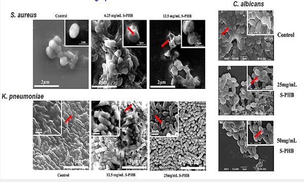 ������V�V��������Ʒ���о����l(f��)չڅ��(sh��)