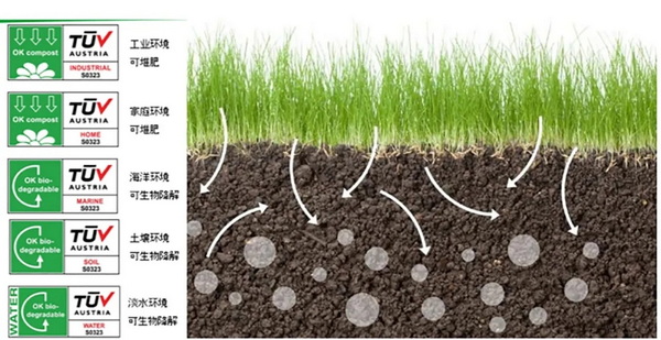 �۽��ɳ��m(x��)�l(f��)չ���c���ṩ��S��Q�������m�����Є���